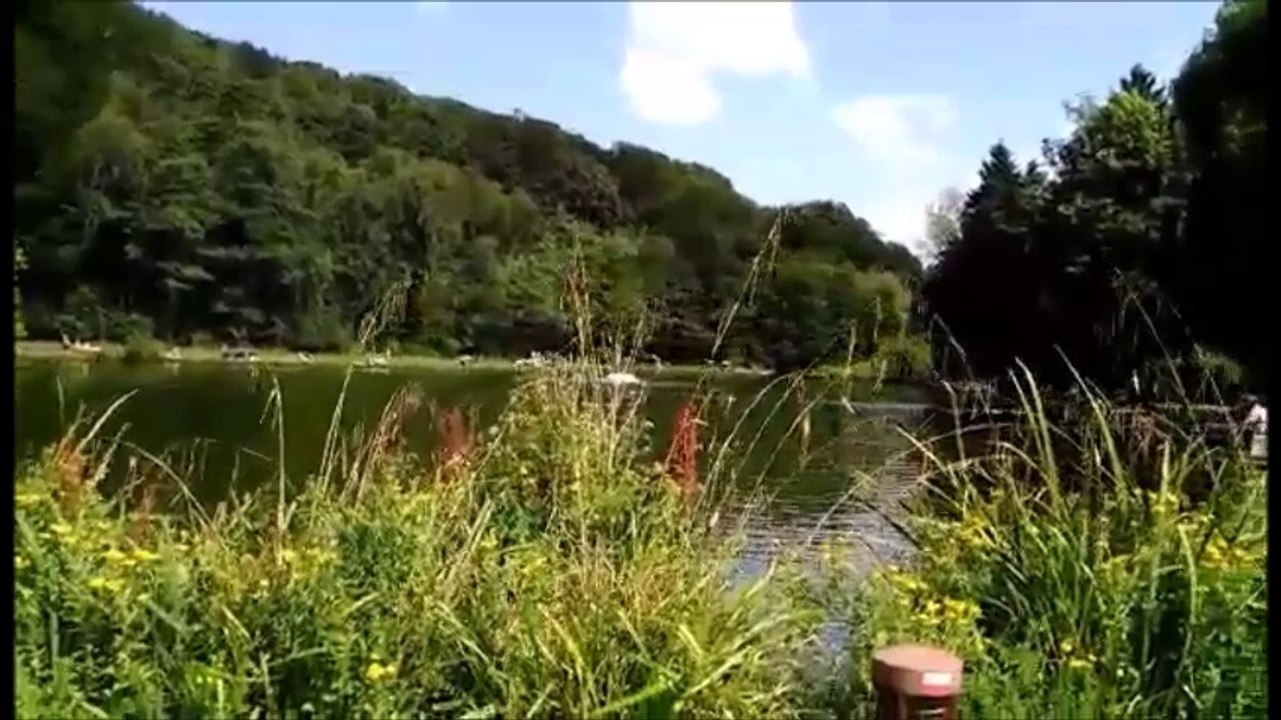 le bois des réve a louvain la neuve belgique