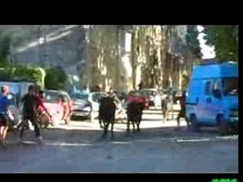 fête votive de marsillargues bandido