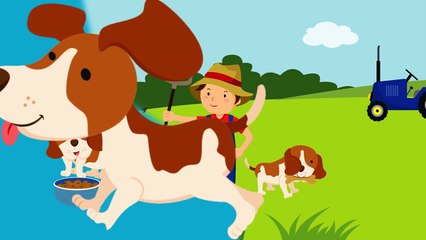 ÇOMAR - Yeni Çocuk Şarkısı | Cocukca