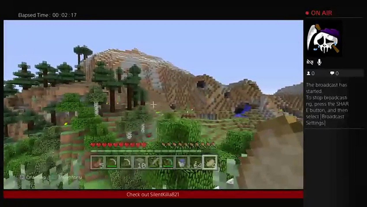 Minecraft (5)