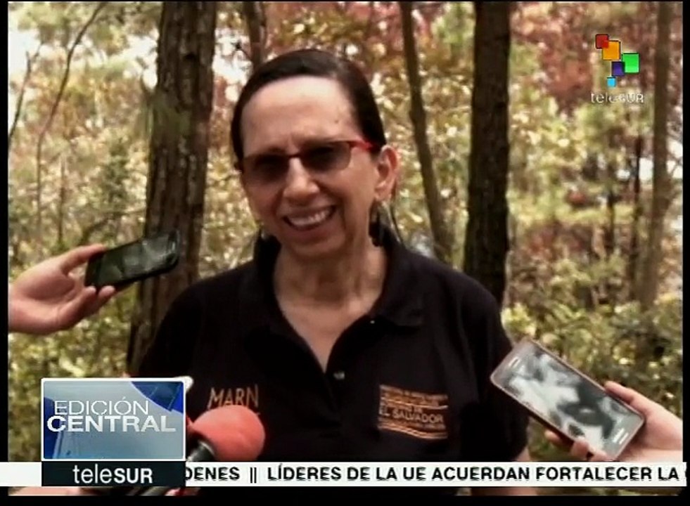 El Salvador: unen esfuerzos para combatir plaga forestal
