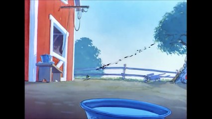 Tom and Jerry - The Duck Doctor (Seri 194x -195x)