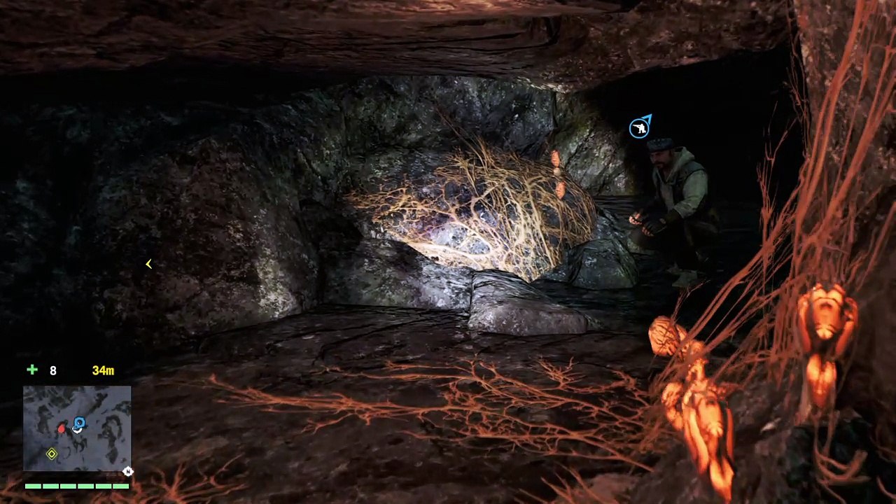 Far Cry® 4 hiding from yetis
