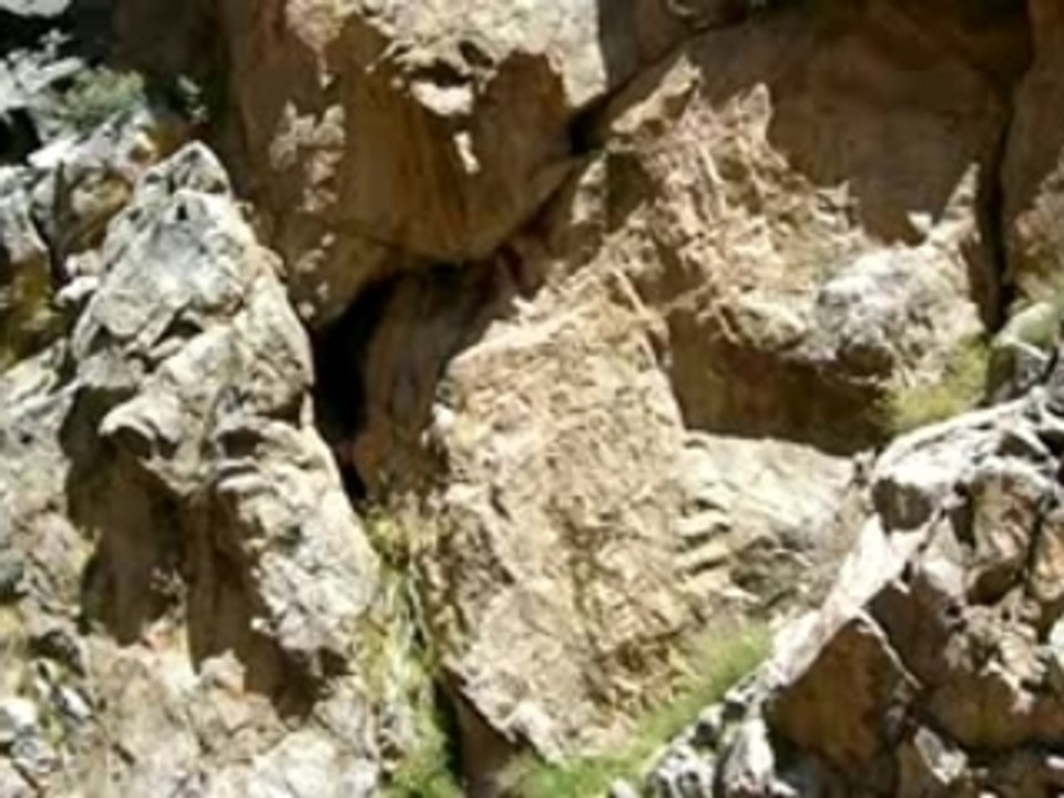 Maroc Vallée de l'Ourika - Source