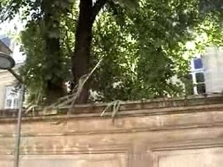 Manif anti-ogm bordeaux