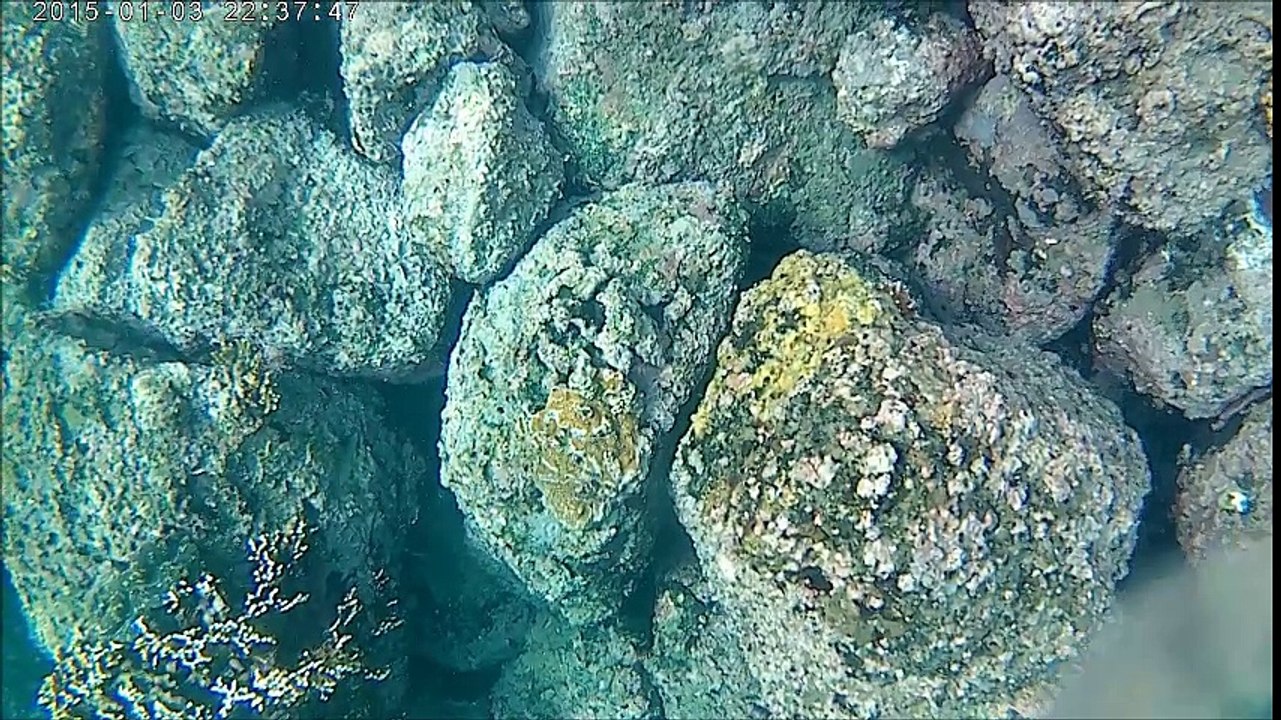 test kogan dan freediving spearfishing ulele aceh indonesia juli 2016