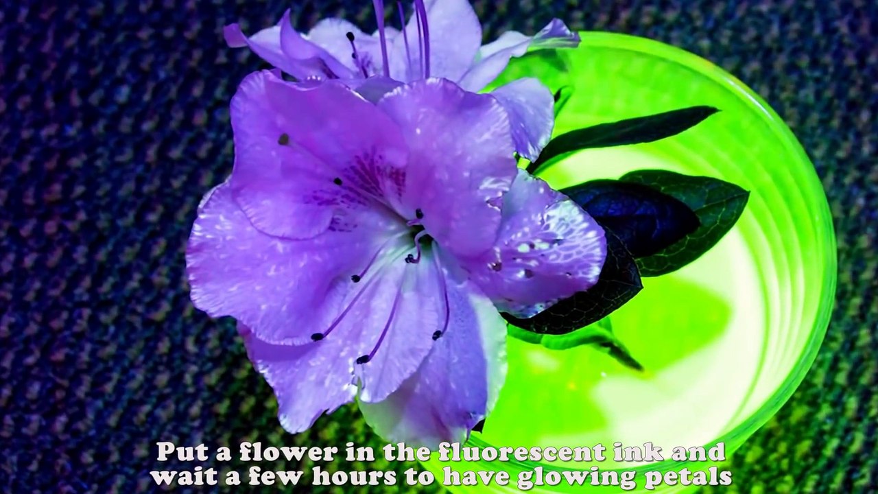 Cool Science Experiments, Amazing experiments!