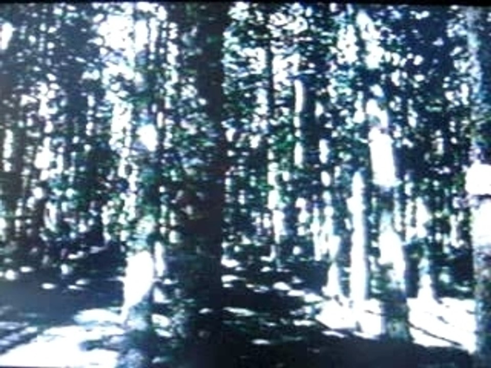 Les compagnons de Jéhu