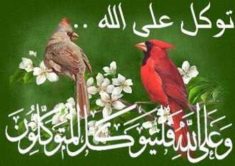 الفرق بين التوكل و التواكل ؟ عبدالرحمن السروى