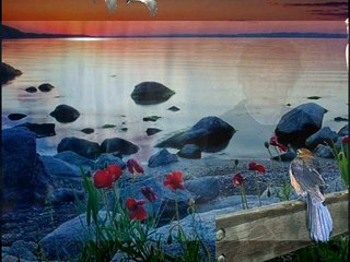 KAMİLE YEŞİLTEPE EY AŞK SES KLİP AYNUR AVCI