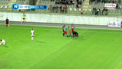 Blessure pour Yvan Neyou (cheville)