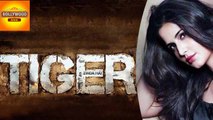 Katrina Kaif Working Hard For 'Tiger Zinda Hai' | Salman Khan | Bollywood Asia