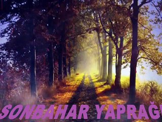 SONBAHAR YAPRAĞI CANAN  EREREN SESLENDİREN KLİP AYNUR AVCI