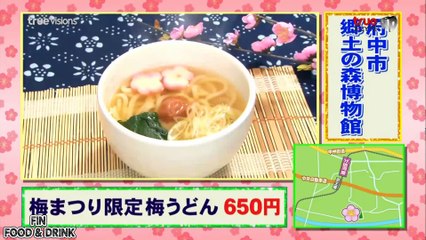 โมชิโมะ เจแปน HD ตอนทัวร์ท่องเทียวเทศกาลดอกอุเมะ