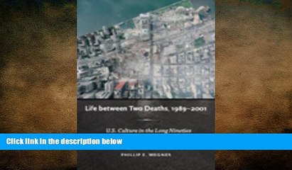 FREE PDF  Life between Two Deaths, 1989-2001: U.S. Culture in the Long Nineties (Post-Contemporary