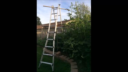 Belive it or Not What you'll see  صدق او لاتصدق ما سوف تراه