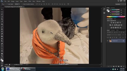 Getting Started Adobe photo shop video tutorial Part 01