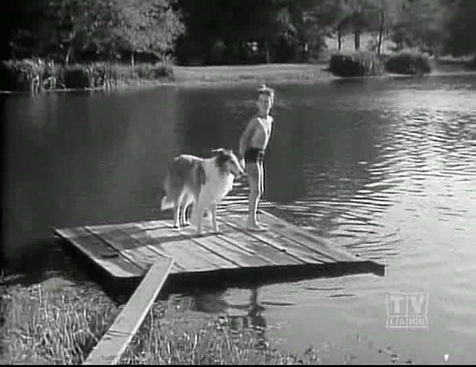Lassie - 01x16 - The Contest