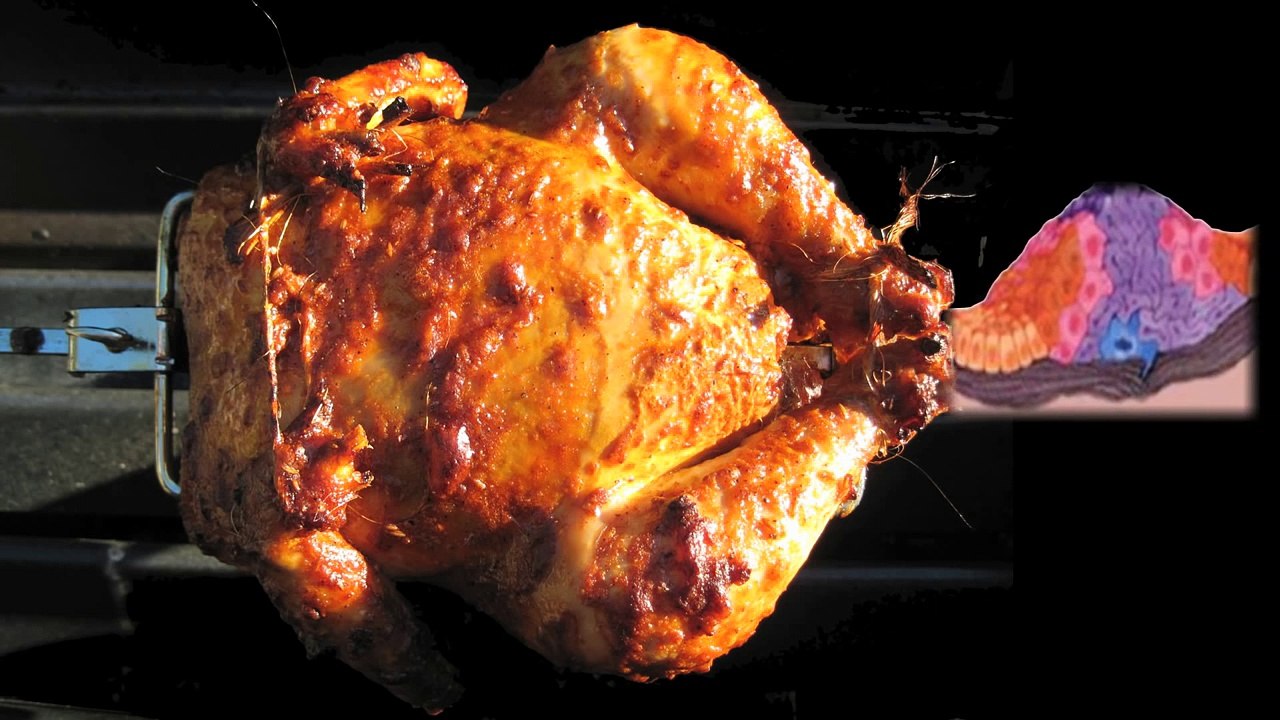 Reducing Cancer Risk In Meateaters
