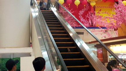 Runaway Rat Races Up Escalator at Shopping Mall