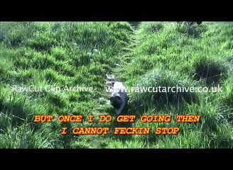 Loca the Pug singing...... The pug that couldn t run !
