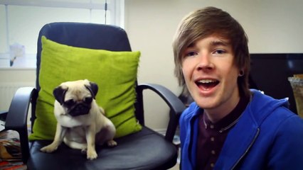 ME & MY PET (Ellie the Pug!)   TDM Vlogs #30