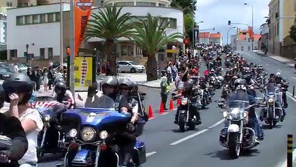 Harley Davidson  parade