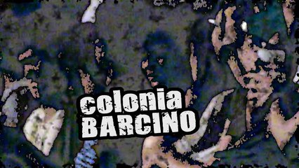 la mercè ---MINI SPOTS - COLONIA B A R C I N O