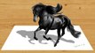 Speed Drawing of a Black Friesian Horse 3D How to Draw Time Lapse Art Video Pencil Illustration Artwork Draw Realism