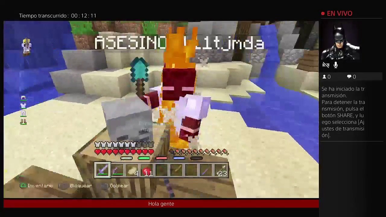 Minecraft (23)