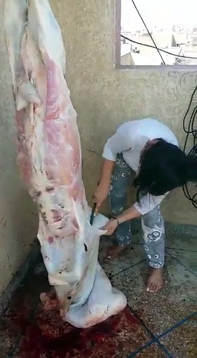 Qurbani