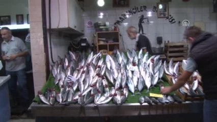 Balıkçıların Yüzünü Gurbetçiler Güldürdü - Zonguldak/