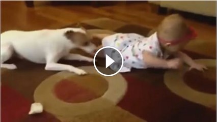 Dog tries to teach baby How to crawl.