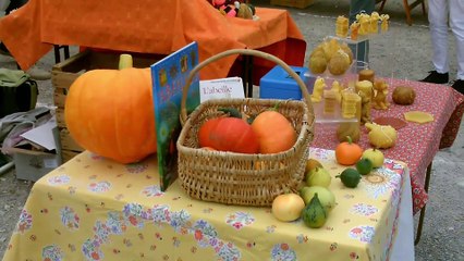 D!CI TV : Traditionnelle foire de la courge à Lépine.