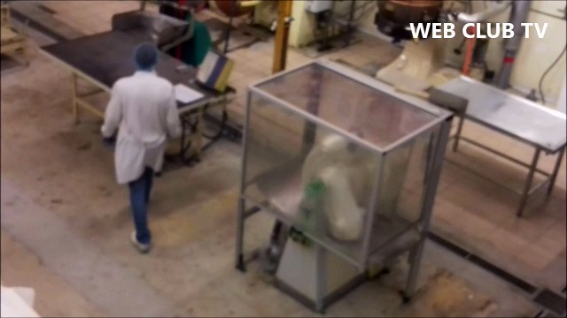 Fabrication des Bêtises de Cambrai ! portes ouvertes journée patrimoine 17/09/2016