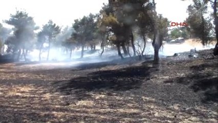 Çanakkale Tarlada Başlayan Yangın Ormana Sıçradı