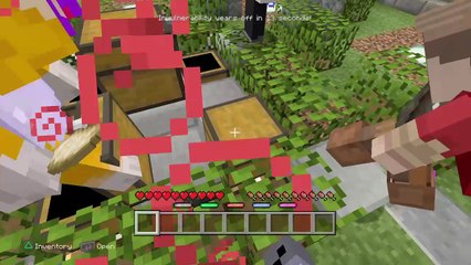 Minecraft: PlayStation®4 Edition_20160917170850