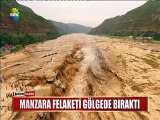Manzara felaketi gölgede bıraktı! | Haber Videoları