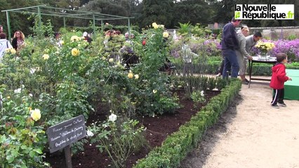 VIDEO (41). Françoise Souchon inaugure la rose Château de Cheverny
