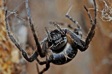 울산고소득알바,술집알바↔찜알바↔강남남자알바,벼룩시장야알바