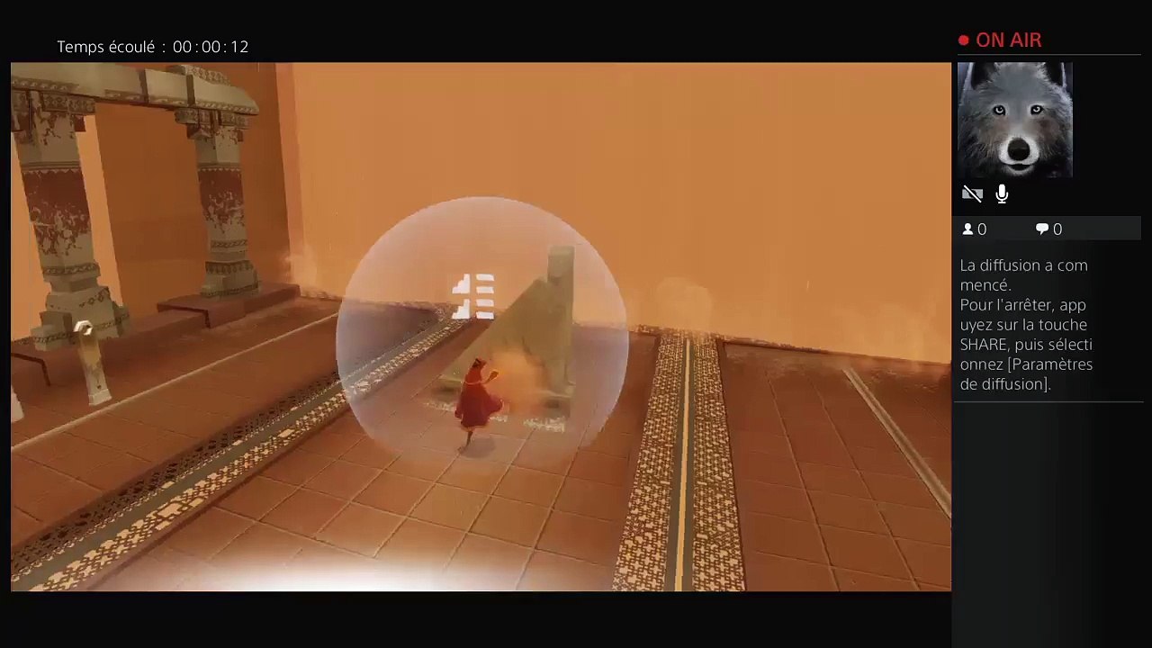 Diffusion PS4 en direct de kenzo218 (29)