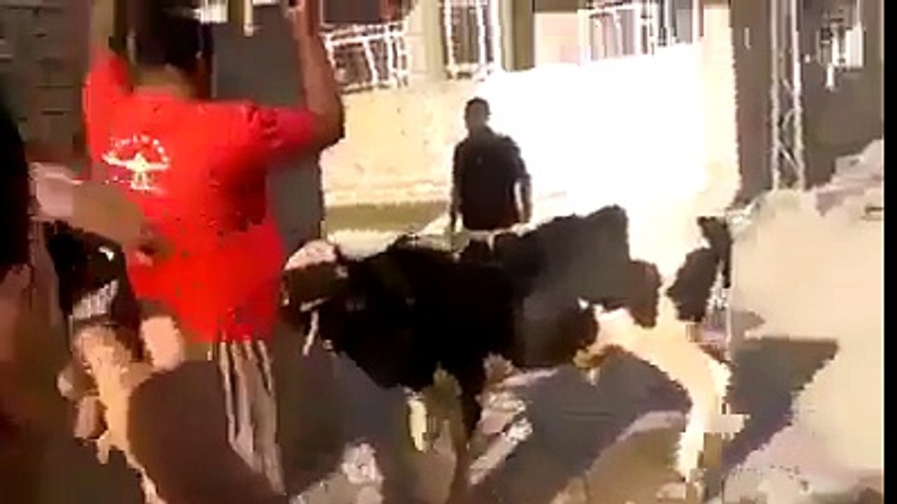 Es begerat k bachy ko dekho