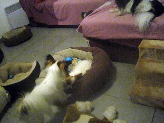 Lyli et Lolita