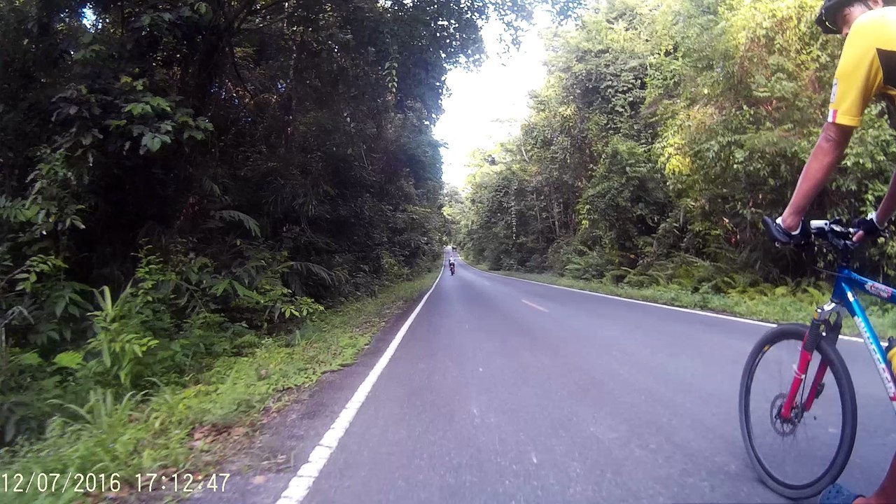 Elephant Road Block
