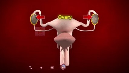 All you need to know about family planning methods (EN)