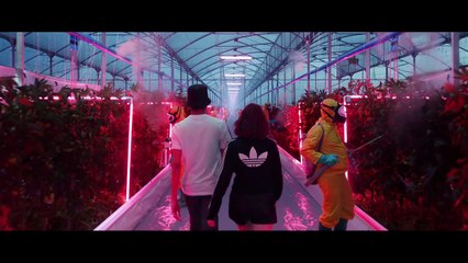 adidas Originals _ Your future is not mine _ Full Length