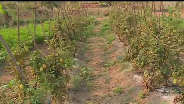 Distrito Federal tem o menor índice de agrotóxicos nos alimentos