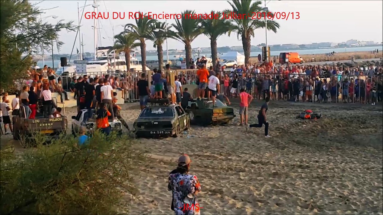 GRAU DU ROI-Encierro manade Jullian-2016/09/13